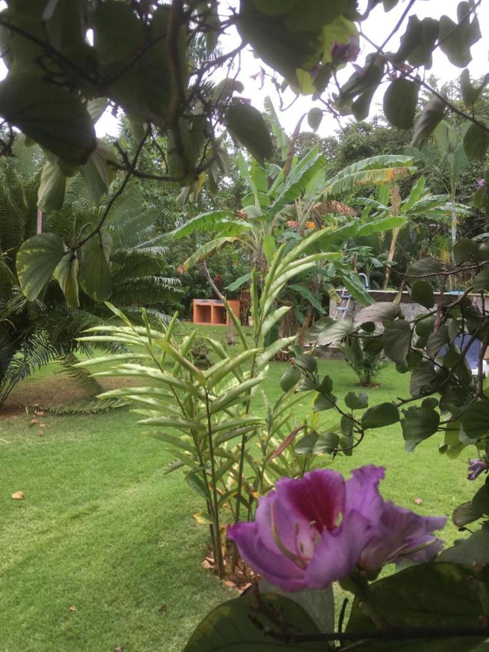 Labellaventura Villa Las Galeras Exteriör bild